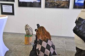 2.Thüringer Fototage in Erfurt