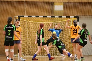 nnz-Ergebnisdienst: Handball