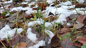 Unterwegs im Harz