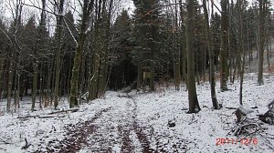 Unterwegs im Harz
