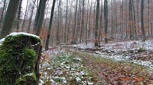 Unterwegs im Harz