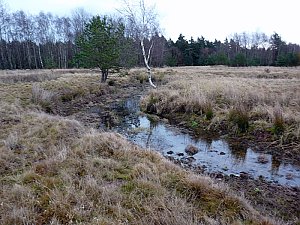Mit 1.000 PS f&uuml;r die Natur