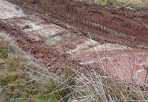 Mit 1.000 PS f&uuml;r die Natur