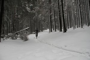 Heiligabend noch kurz auf den Brocken (2011)