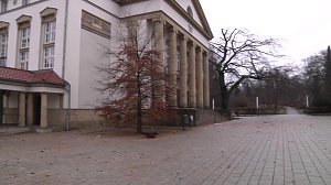 Böllerabfall auf den Straßen