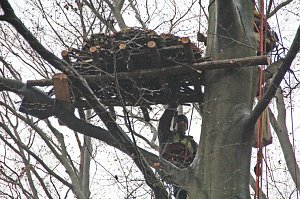 Kunsthorst für Storch