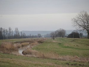 Gewaltige Unterschiede