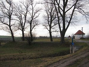 Gewaltige Unterschiede