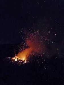 Wieder viel Andrang