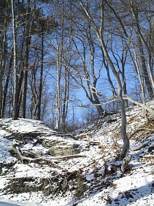 So sch&ouml;n kann Winter sein