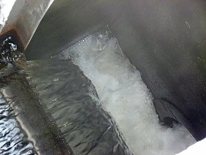 Harte Arbeit f&uuml;r sauberes Abwasser
