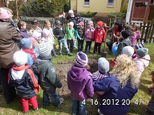 Baumpatinnen gefunden