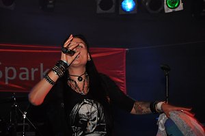 Altstadtfest 2012
