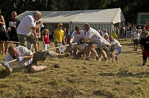 Tauziehen