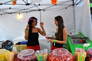 Altstadtfest 2012