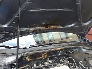 Feuer im Motorraum