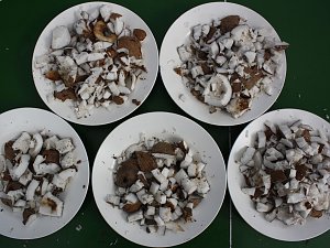 Der letzte Tag im Camp