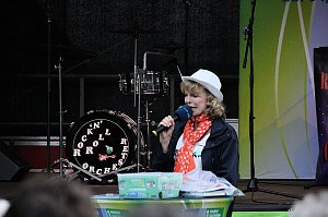 Harzfest total