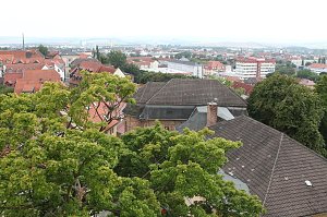 Ab in den Dom
