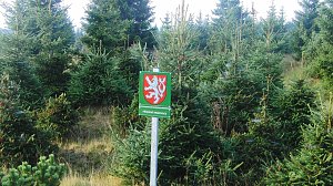 Von Dresden zum Fichtelberg