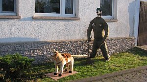 Vorbereitungen laufen 