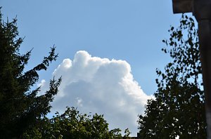 Buchholz zog um
