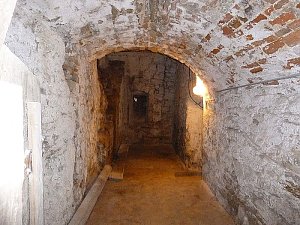 Zum Thema Holz unterwegs