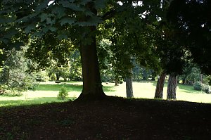 Sonnentag im Park