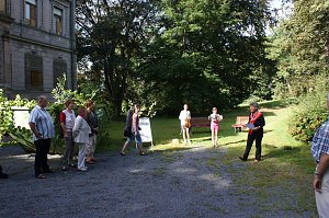 Sonnentag im Park