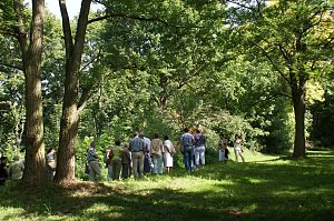Sonnentag im Park