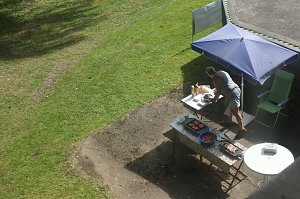 Sonnentag im Park