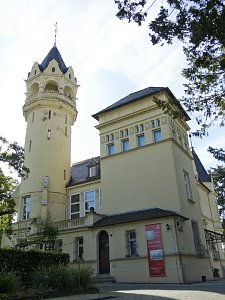 Holz im Kunsthaus