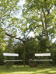 Holz im Kunsthaus