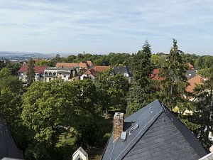 Holz im Kunsthaus