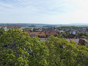 Holz im Kunsthaus