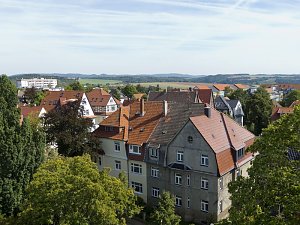 Holz im Kunsthaus