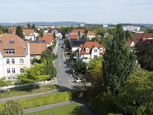Holz im Kunsthaus