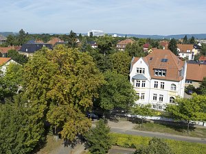 Holz im Kunsthaus