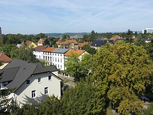 Holz im Kunsthaus