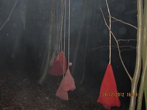 Mit Fackeln unterwegs