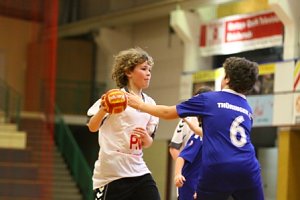 Handball-Wochenende