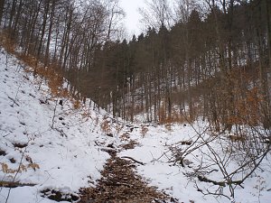 Das Brandesbachtal