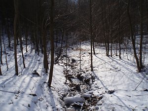 Das Brandesbachtal