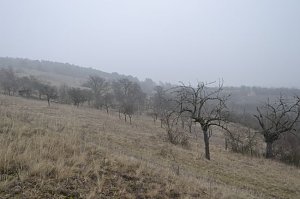 Winterwanderung