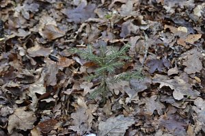 Winterwanderung