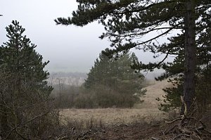 Winterwanderung