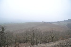 Winterwanderung