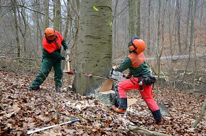 Verkehrssicherung
