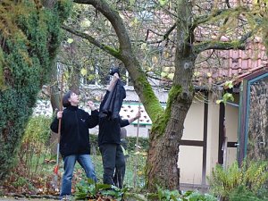 Saubermachen im B&auml;renpark