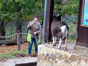 Saubermachen im B&auml;renpark